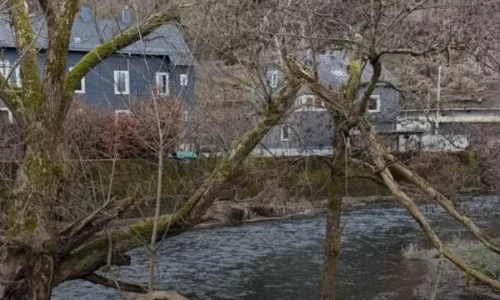 Tragjedi në Gjermani: Vdes 3 vjeçari disa ditë pasi ra në lumë – raportohet se është nga Peja