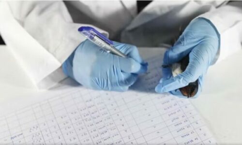 Konfirmohet rasti i parë i gripit të shpendëve në Evropë