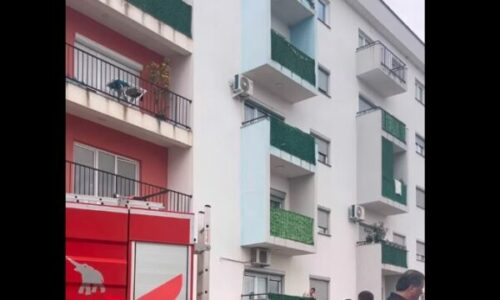 Tragjedia në Malishevë: Dalin pamje nga banesa ku mbetën të vdekur babai me dy fëmijët