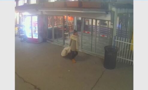 Lajmëroni policinë nëse e shihni këtë grua, po kërkohet për vjedhje