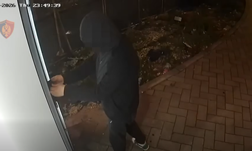Kapet autori i disa vjedhjeve në Tiranë