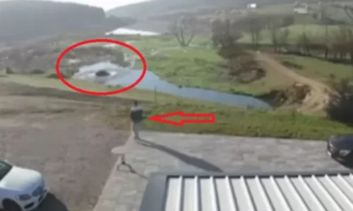 Qytetari shpëton gruan që ra me veturë në liqenin e Livoçit (VIDEO)