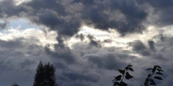 Parashikimi i motit për ditën e nesërme