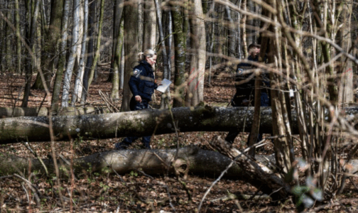 Tragjedi në Gjermani: Rrëzohet pema gjatë aktivitetit të Pashkëve, tre të vdekur