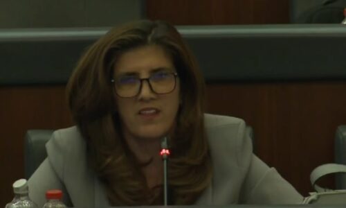 ‘‘Qysh s’po ju vjen marre’’, Musliu për ligjin për çmimin tavan: Nuk ofron zgjidhje reale, duhet të ulet TVSH