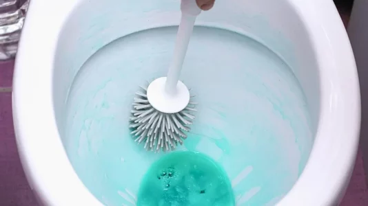 Sa shpesh duhet ta ndërroni furçën e tualetit?