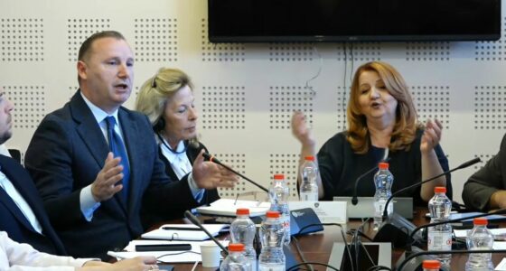 “Ish-këshilltar i Kurtit ka qenë”, përplasje për ekspozitën, Zemaj – Kollçakut: Për keqardhje