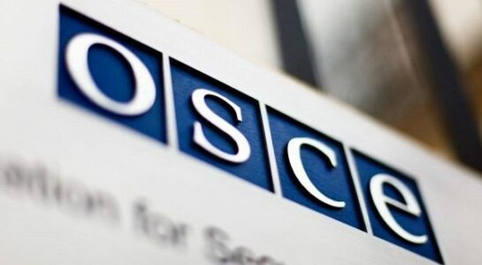 Dënimi i Valon Aliut për vrasjen e Erona Coklit, OSBE: Moment i rëndësishëm i llogaridhënies